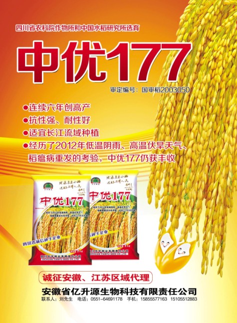 中優177水稻種廣告單